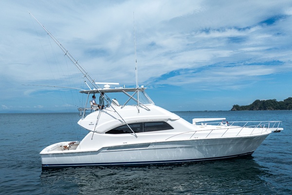Reel Retirement 57ft Bertram Yacht For Sale