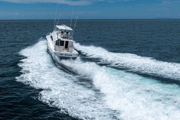 Reel Retirement 57ft Bertram Yacht For Sale