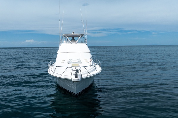 Reel Retirement 57ft Bertram Yacht For Sale