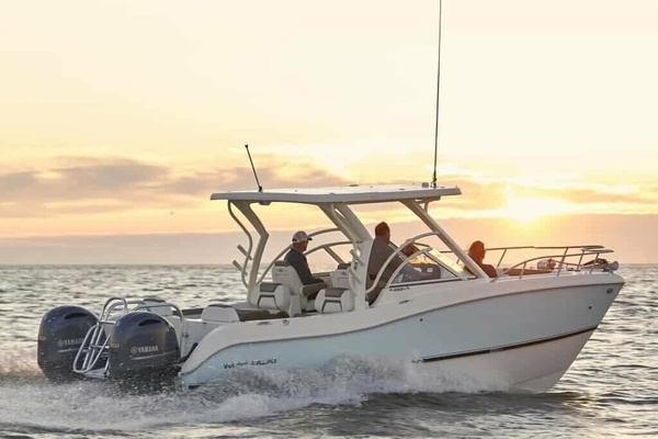 25ft World Cat Yacht For Sale
