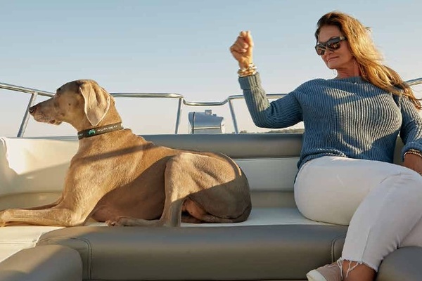 25ft World Cat Yacht For Sale