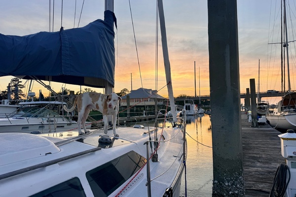 Danu 33ft Hunter Yacht For Sale
