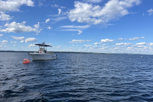 SEA HAG 22ft Century Yacht For Sale