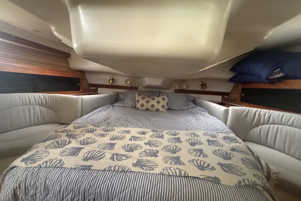 Lucky Dogs 38ft Catalina Yacht For Sale