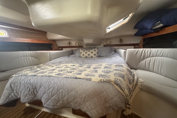 Lucky Dogs 38ft Catalina Yacht For Sale