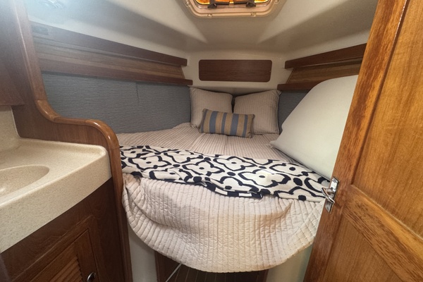 Lucky Dogs 38ft Catalina Yacht For Sale