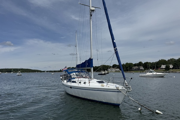 Stargate 36ft Catalina Yacht For Sale
