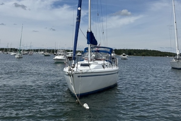 Stargate 36ft Catalina Yacht For Sale