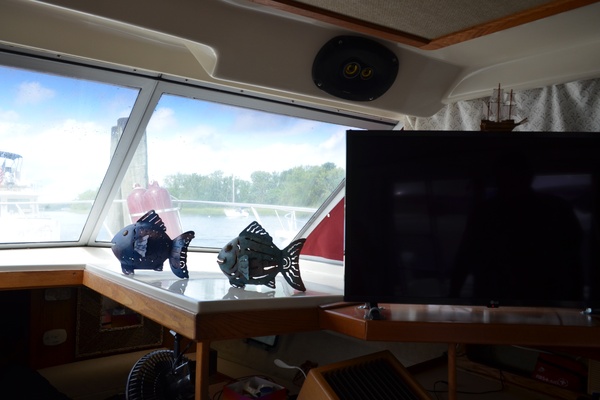 Weather or Knot 34ft Silverton Yacht For Sale