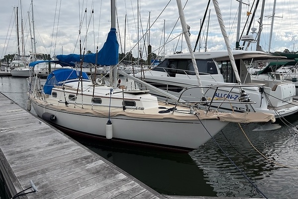 Petrel 30ft Cape Dory Yacht For Sale