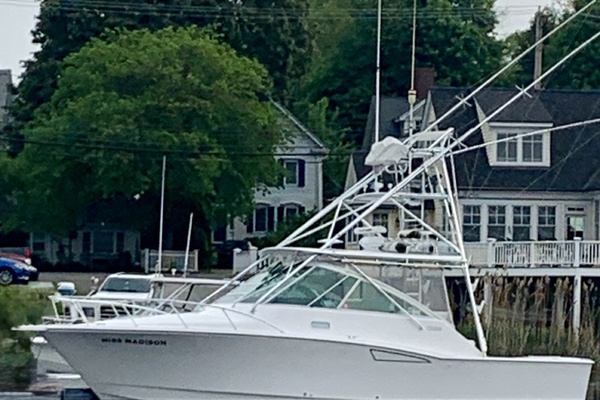 Miss Madison 35ft Cabo Yacht For Sale