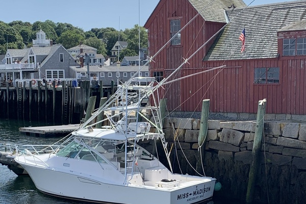 Miss Madison 35ft Cabo Yacht For Sale