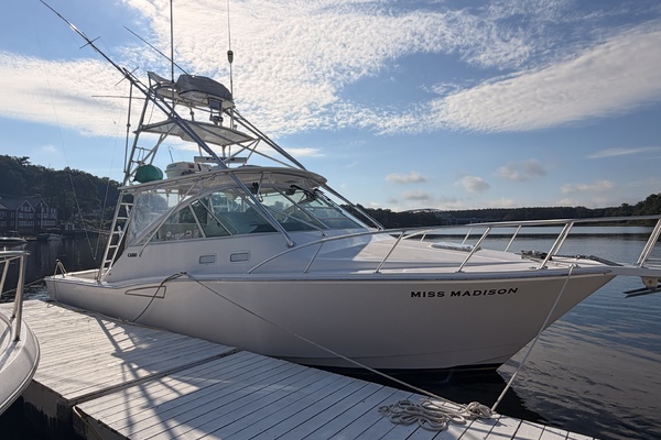 Miss Madison 35ft Cabo Yacht For Sale