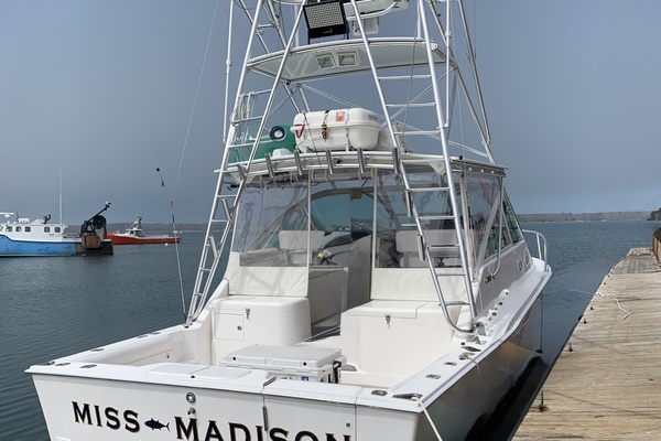 Miss Madison 35ft Cabo Yacht For Sale