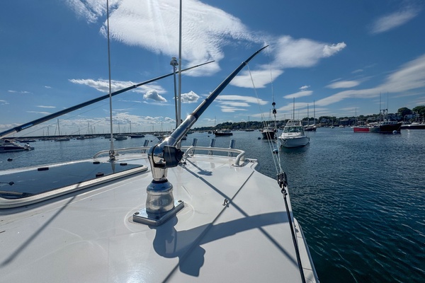 Fin  amp  Tonic 32ft Pursuit Yacht For Sale