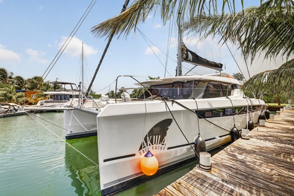 Akula 50ft Leopard Yacht For Sale