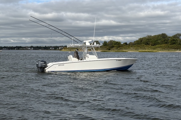 2009 Jupiter 29 FS