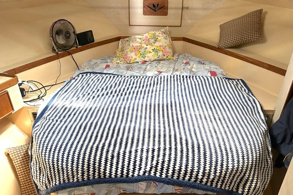 Never Content 37ft Bertram Yacht For Sale