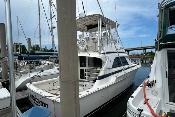 Never Content 37ft Bertram Yacht For Sale