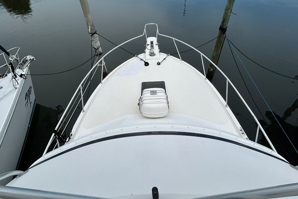 Never Content 37ft Bertram Yacht For Sale