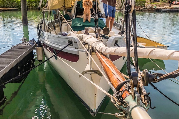 Angelsea 28ft Bristol Channel Cutter Yacht For Sale
