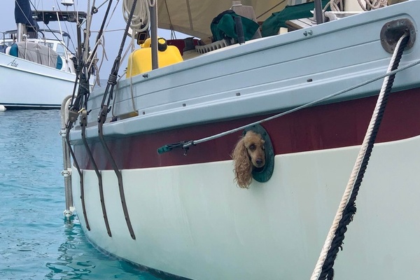 Angelsea 28ft Bristol Channel Cutter Yacht For Sale
