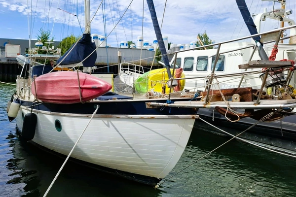 1983 Young Sun 43