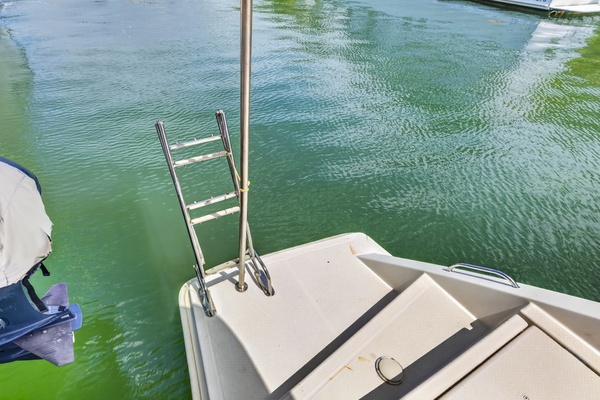 Melynda 48ft Leopard Yacht For Sale