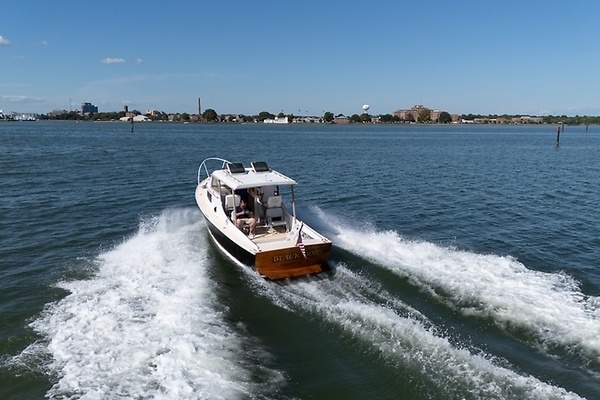 Black Dog 29ft Dyer Yacht For Sale