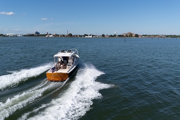 Black Dog 29ft Dyer Yacht For Sale