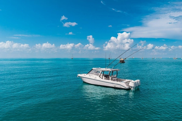 Everglades  Yacht For Sale
