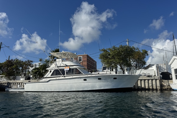 Severance Package 48ft Ricker Yacht For Sale