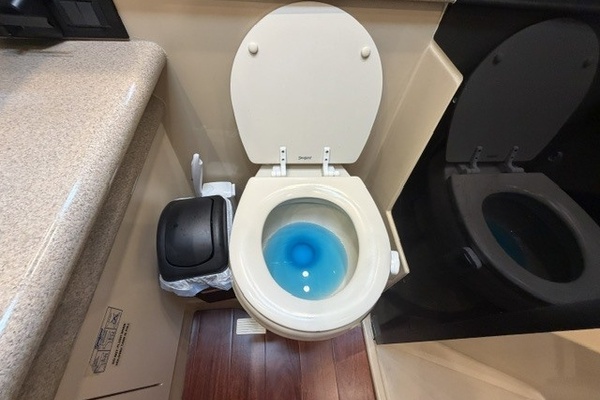 Vacuflush head