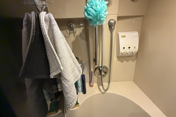 Bathroom stall shower