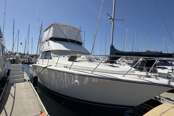 43-ft-Tiara Yachts-2000--Fishizzle Marina del Rey California United States  yacht for sale