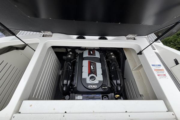 No Name 21ft Sea Ray Yacht For Sale