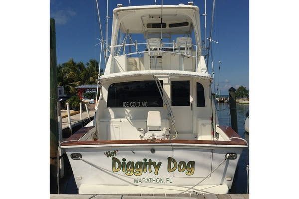 Hot Diggity Dog 48ft Ocean Yachts Yacht For Sale