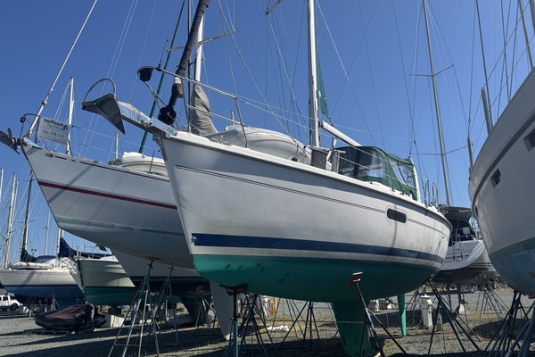 42ft Hunter Yacht For Sale