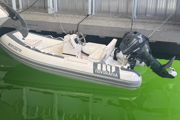 11ft Novurania Yacht For Sale