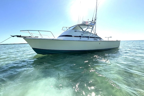 31-ft-Bertram-1970-Bahia Mar- Key Largo Florida United States  yacht for sale