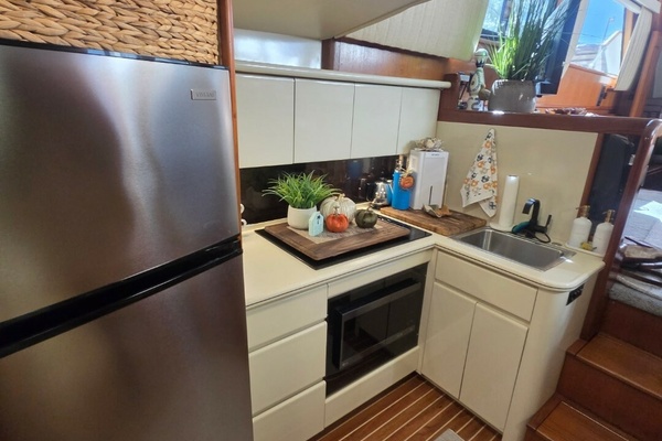 Bizz Sea Livn 44ft Viking Yacht For Sale