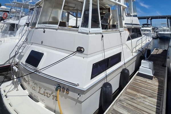 Bizz Sea Livn 44ft Viking Yacht For Sale