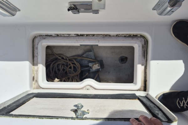 24ft Pro Line Yacht For Sale