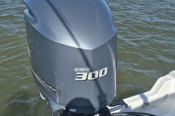 24ft Pro Line Yacht For Sale