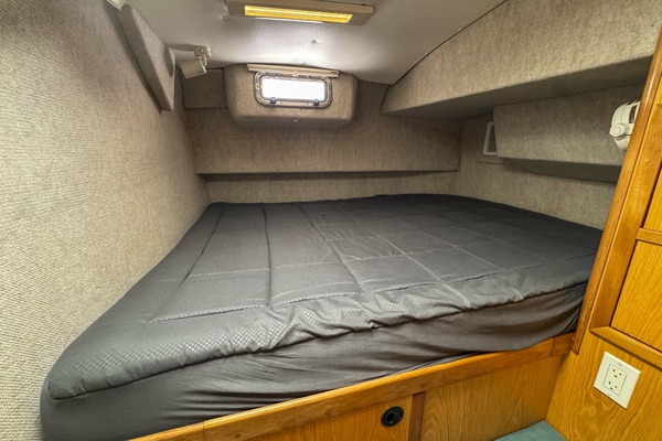CONSCIOUS SEDATION 42ft Manta Yacht For Sale