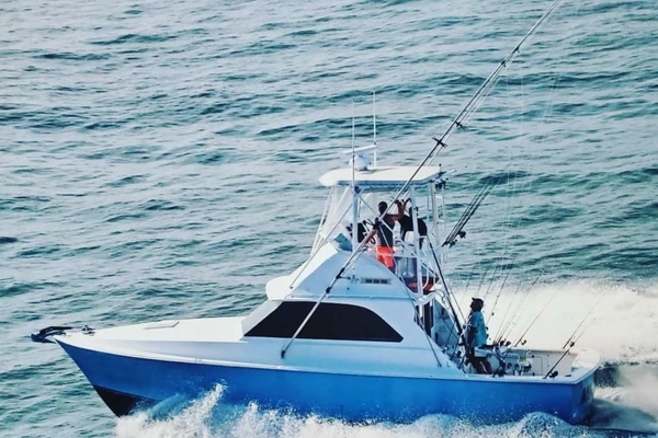 34-ft-Bertram-1979-35 Flybridge-Five Figures Rehoboth Beach Delaware United States  yacht for sale