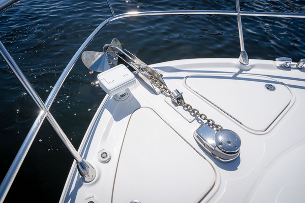 Raw Sea Lady 60ft Sea Ray Yacht For Sale