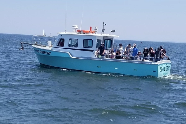 36-ft-Custom-1984-36 Commercial Charter Boat-Island Current City Island New York United States  yacht for sale