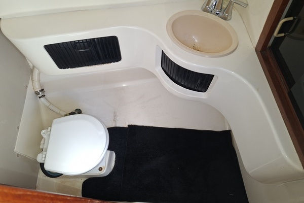Island Girl 30ft Luhrs Yacht For Sale