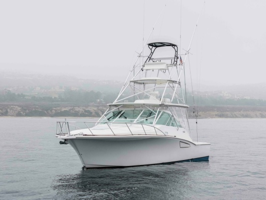 SHOW TIME 38ft Cabo Yacht For Sale